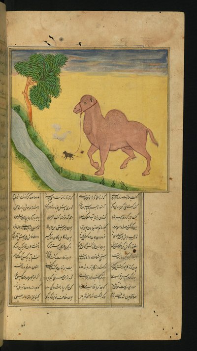 Eine Maus, die die Zügel eines Kamels an einem Wasserstrom hält, Illustration aus A Collection of Poems von Jalal al-Din Rumi von Persian School